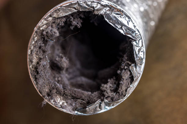 Best HVAC Duct Inspection Services  in Winton, CA