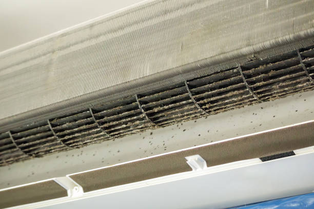 Best Air Duct Cleaning Company Near Me  in Winton, CA